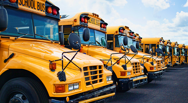 Photo: School buses parked in a row